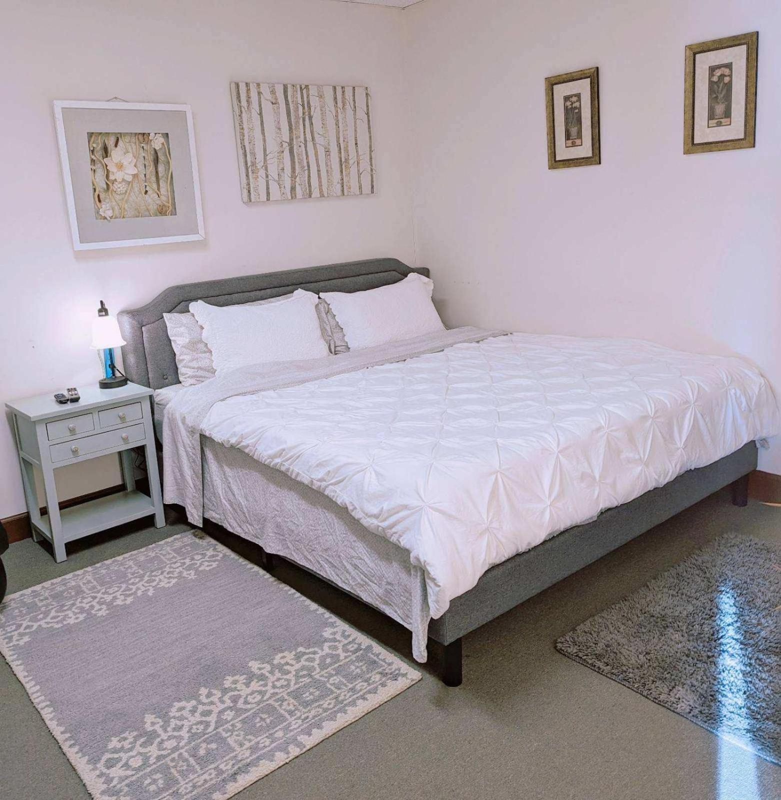 Uptown Area, Cozy King Suite, Quiet And Private, Free Parking, Walk To Restaurants Charlotte Exterior photo